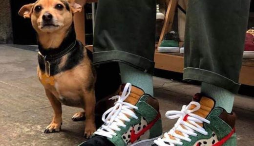 【Nike SB】 Dunk High “Walk the Dog”が4月20日（土）に発売予定