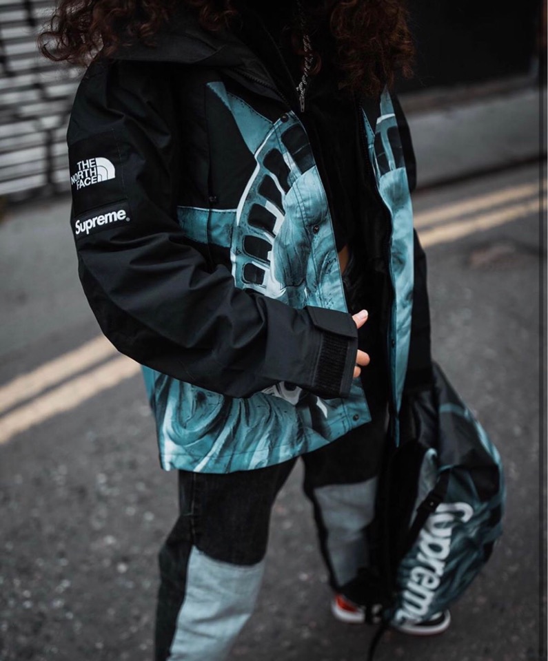 19fw supreme×TheNorthFace バルトロ自由の女神-