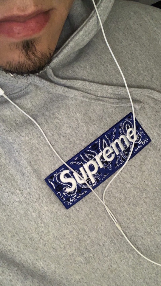 Supreme】2019FW Bandana Box Logo Hooded Sweatshirt 各カラー画像 