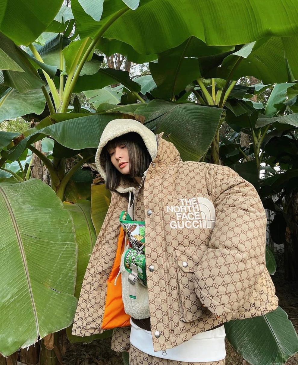 予算案THE NORTH FACE × GUCCI ダウン ジャケット・アウター