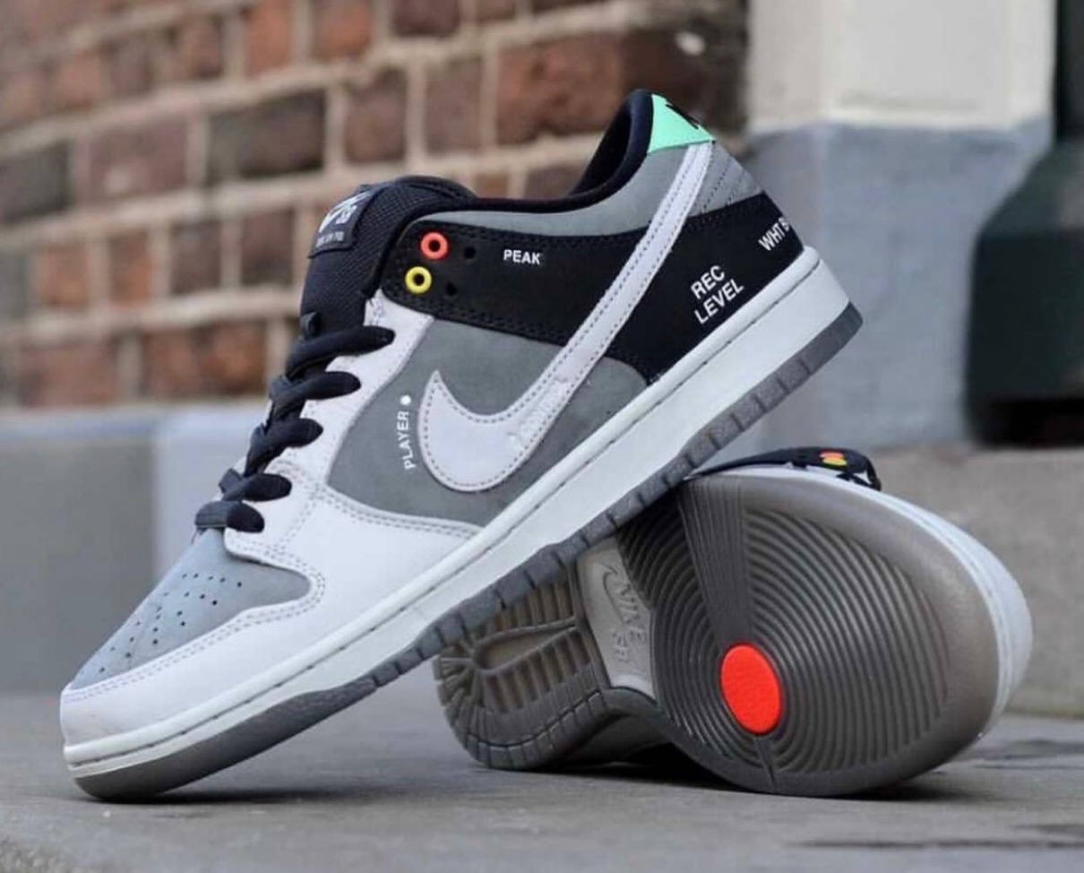 NIKE SB DUNK LOW PRO VX1000CAMCORDER ISO