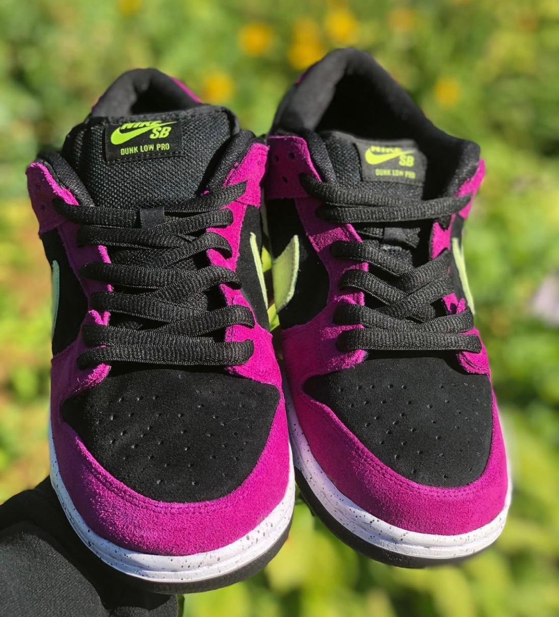 Nike SB】Dunk Low Pro “Red Plum”が国内8月23日に発売予定 | UP TO DATE