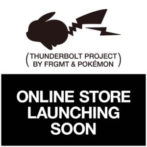 FRAGMENT - THUNDERBOLT PROJECT FRGMT POKEMON ミュウツーの+