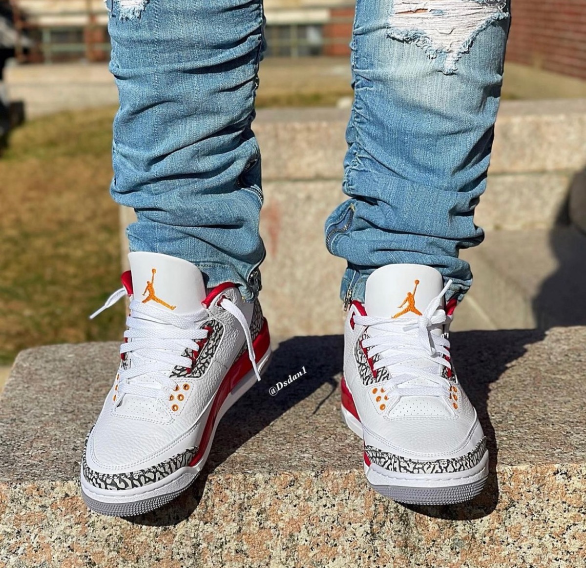 Nike Air Jordan 3 \