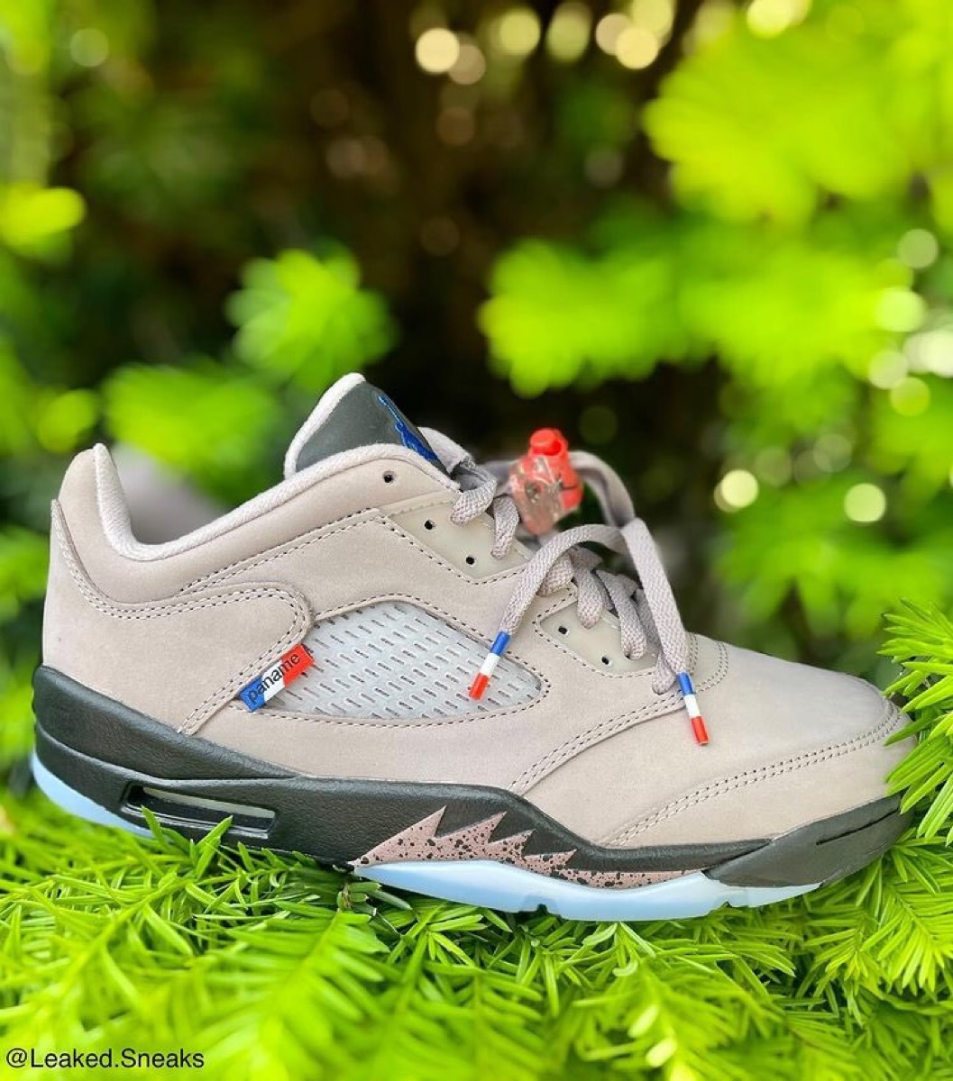 PSG × Nike Air Jordan 5 Low パリサンジェルマン28