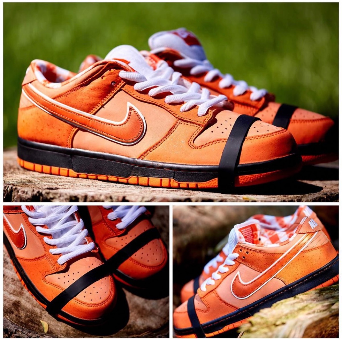 NIKE SB Dunk \