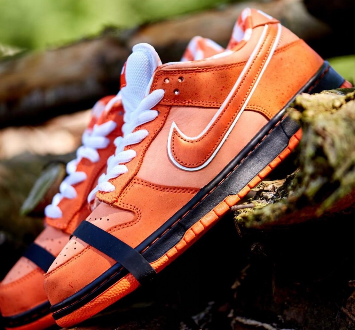 Concepts × Nike SB Dunk Low OG QS “Orange Lobster”が国内2月28日に 