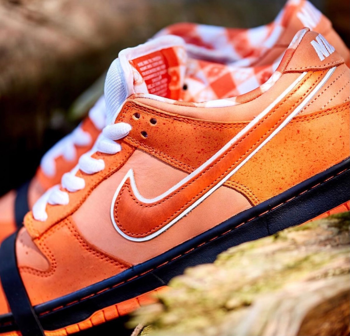 メンズNIKE SB Concepts Dunk Low Orange Lobster - スニーカー