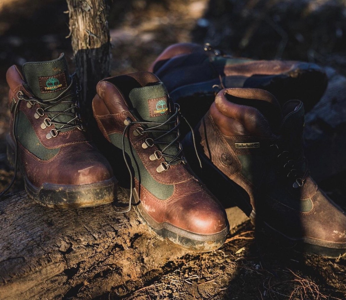 Timberland × BEAMS 別注『FIELD BOOTS “Beef & Broccoli”』が国内1月