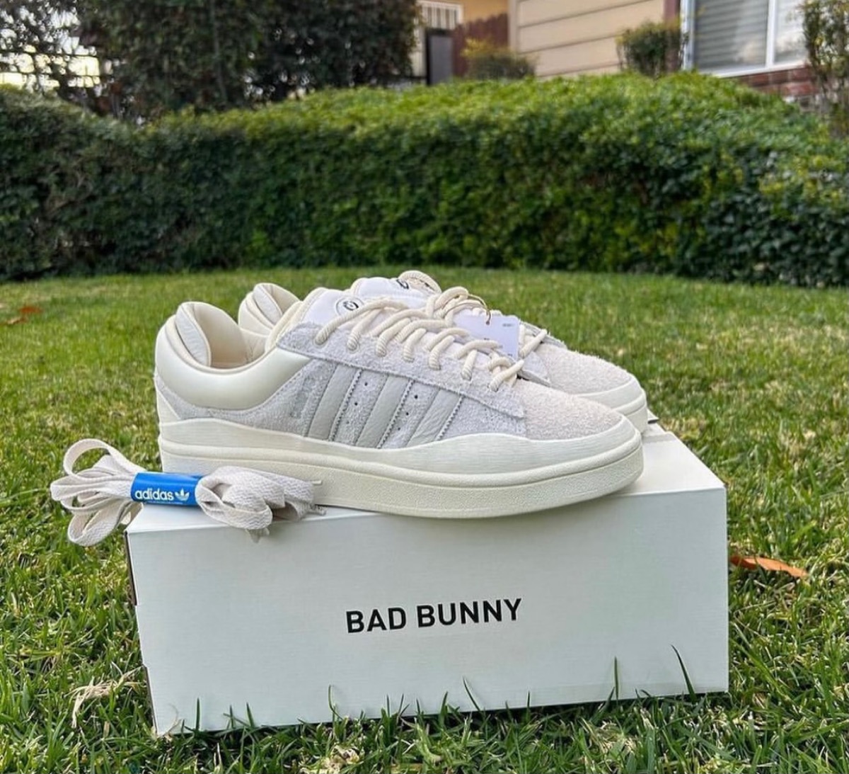 Bad Bunny × adidas Campus "Chalk White"