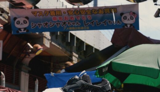 mita sneakers × PUMA DISC BLAZE OG MS ”UENO PANDA”が国内5月27日／5月29日に発売
