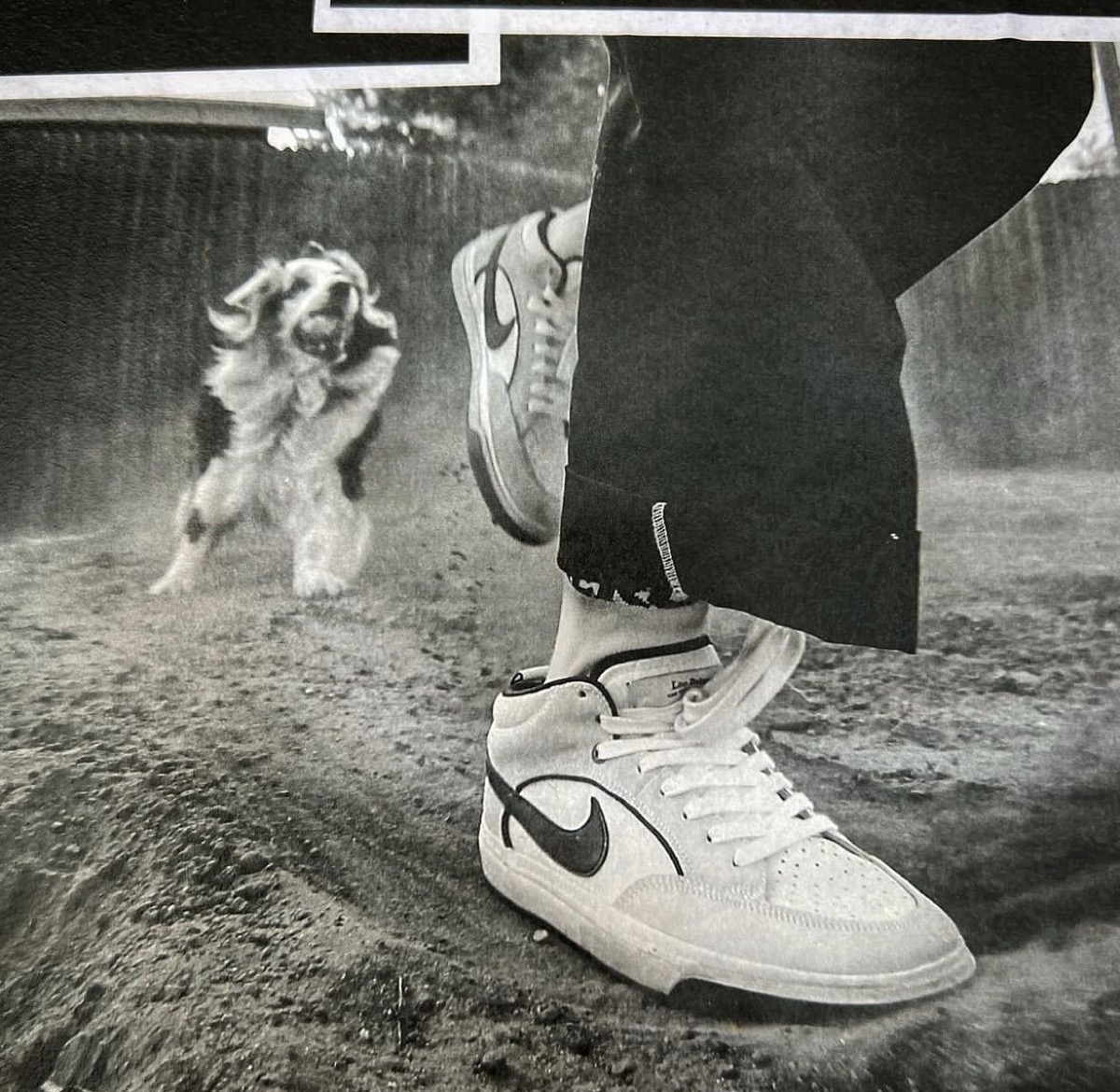 Nike SB】Leo Bakerの初シグネチャー『React Leo』が国内順次発売予定