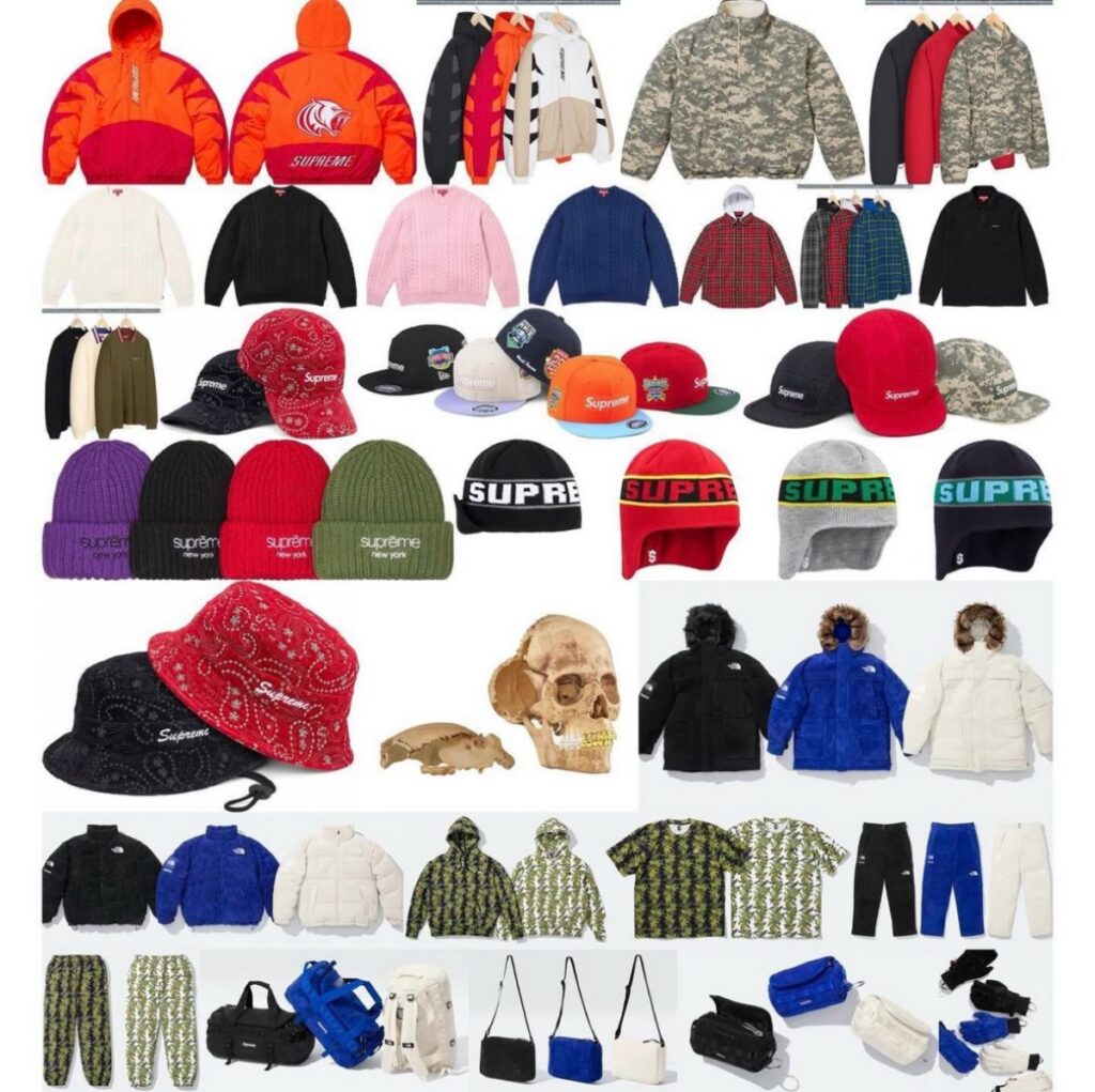 supreme the north face week15