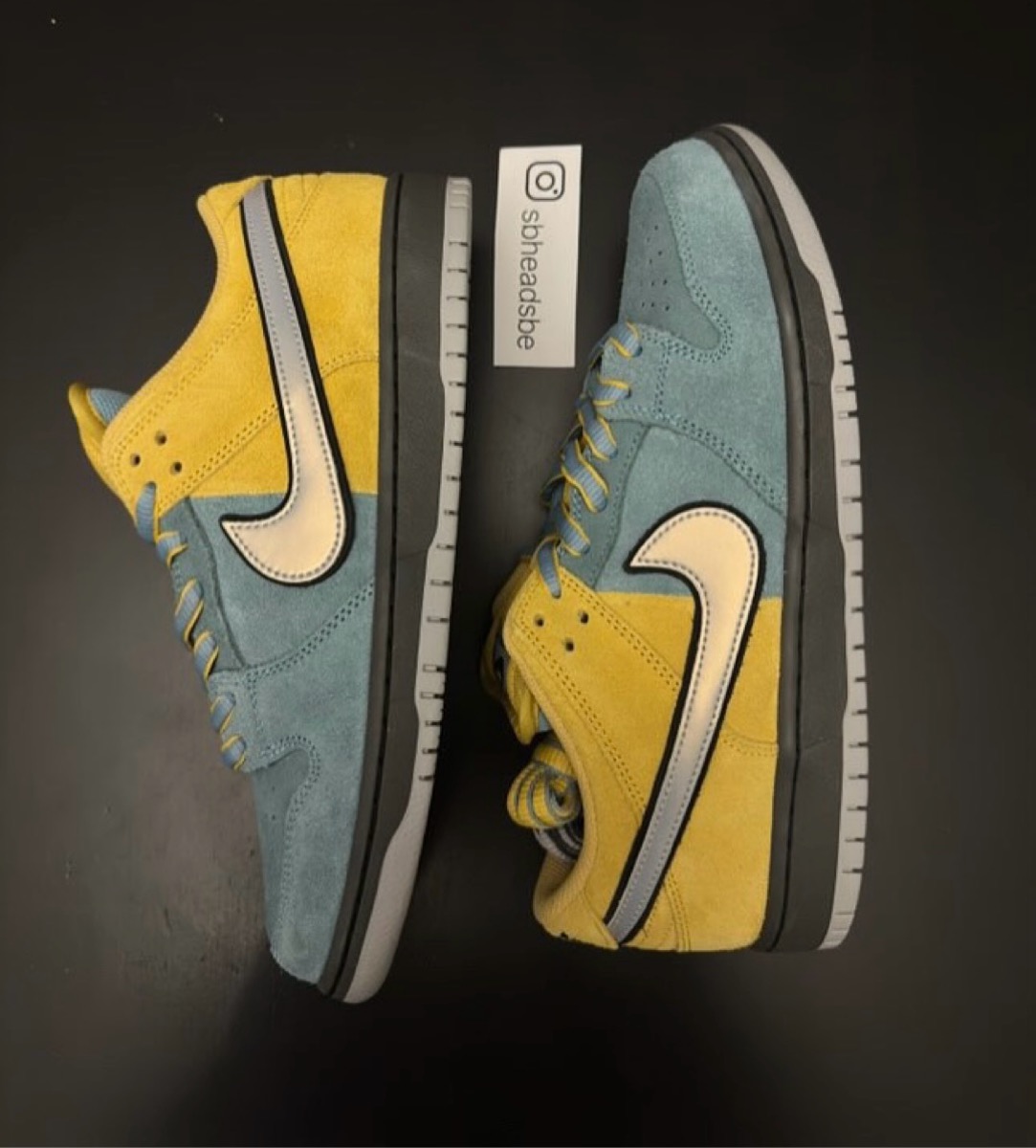 ランキングや新製品 PRO LOW DUNK SB NIKE スケートボード PRM