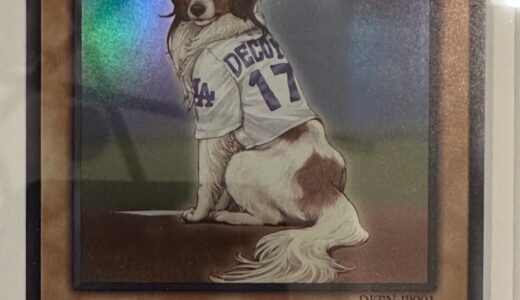 大谷翔平が愛犬デコピンの遊戯王カードを公開