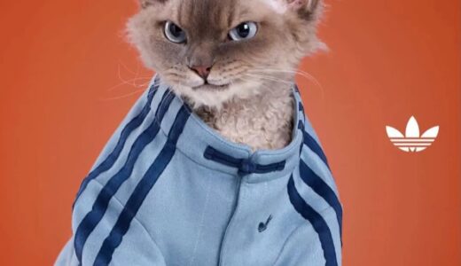 adidas Originals “Chinese New Year 2026” ペットコレクションが登場