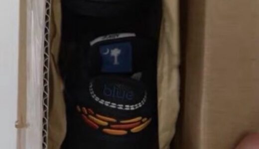 Bluetile Skateboards x Nike SB Dunk Low Pro QS が発売予定 ［IQ1323-001］