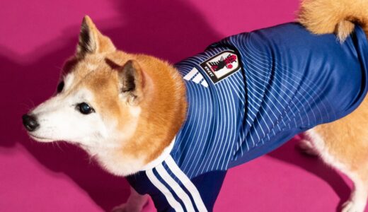 adidas “World Cup 2026” サッカー日本代表 2026 ホーム ペット ジャージーが国内5月1日より発売 ［KY5155］