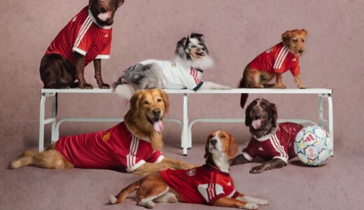 adidas Football Club Pet Apparel Collection が国内発売開始 ［KX3897 / KX3898 / KX3899］